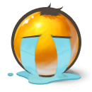 TT TT